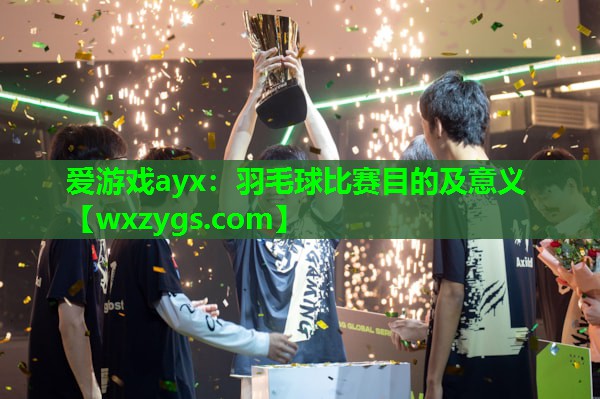 羽毛球比赛目的及意义 羽毛球比赛目的及意义