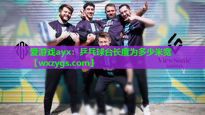 乒乓球台长度为多少米宽 乒乓球台长度为多少米宽