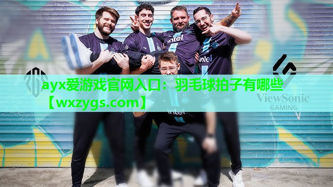 羽毛球拍子有哪些 羽毛球拍子有哪些