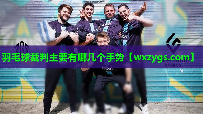 羽毛球裁判主要有哪几个手势 羽毛球裁判主要有哪几个手势
