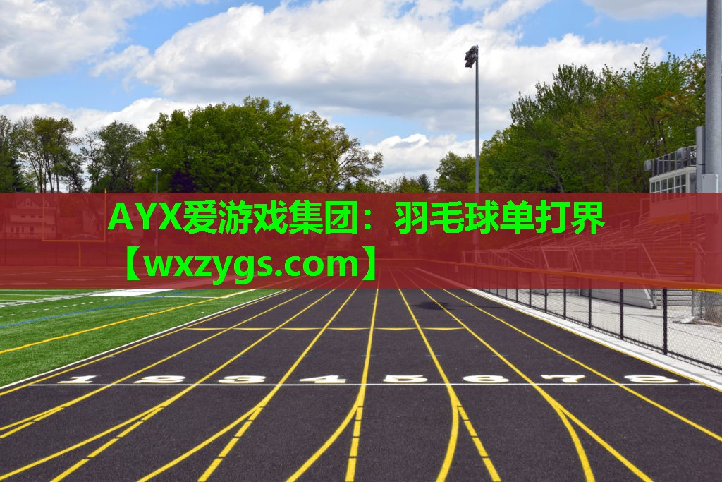 羽毛球单打界 羽毛球单打界