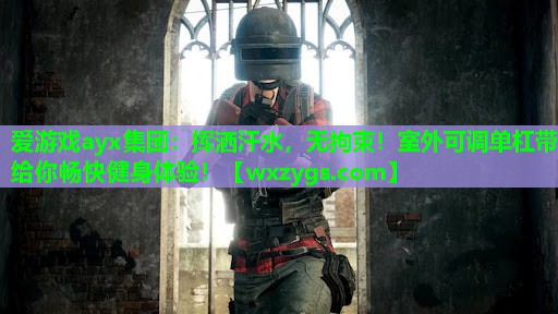挥洒汗水,无拘束!室外可调单杠带给你畅快健身体验! 挥洒汗水,无拘束!室外可调单杠带给你畅快健身体验!