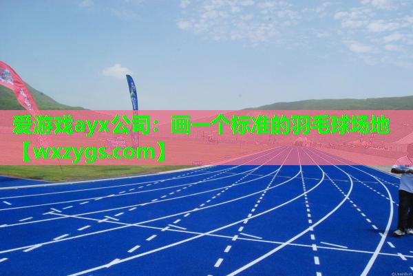 画一个标准的羽毛球场地 画一个标准的羽毛球场地