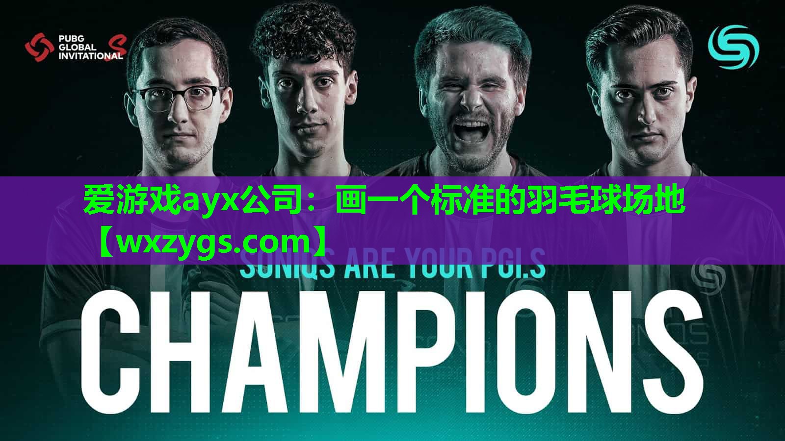 画一个标准的羽毛球场地 画一个标准的羽毛球场地