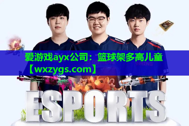 篮球架多高儿童 篮球架多高儿童