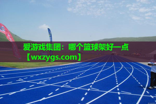 哪个篮球架好一点 哪个篮球架好一点